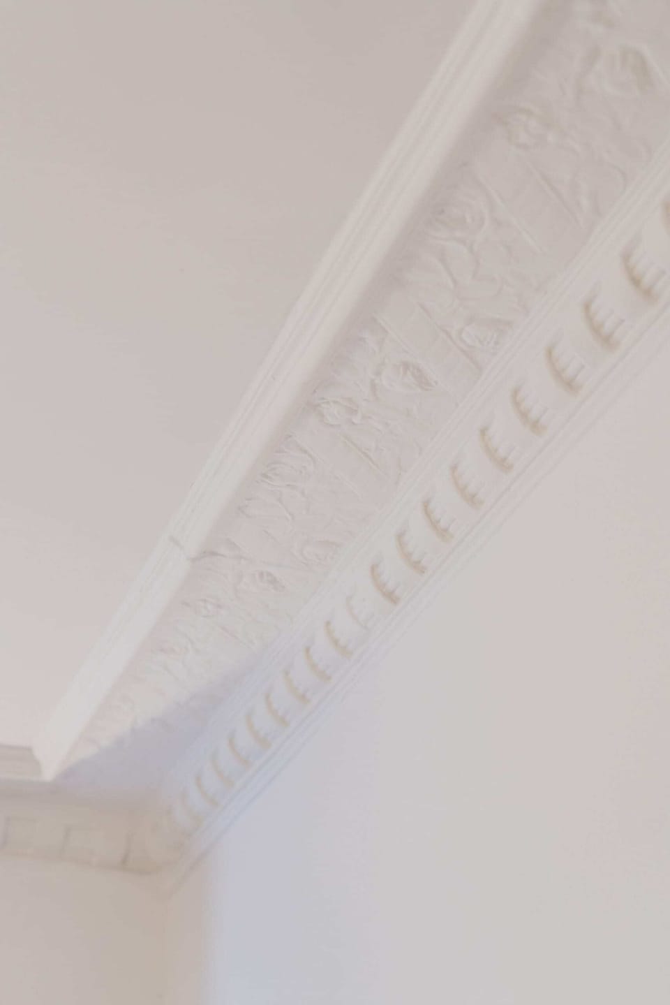 A detailed shot of ceiling moldings, showcasing intricate architectural details.
