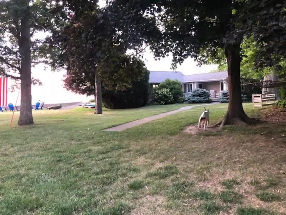 Property grounds