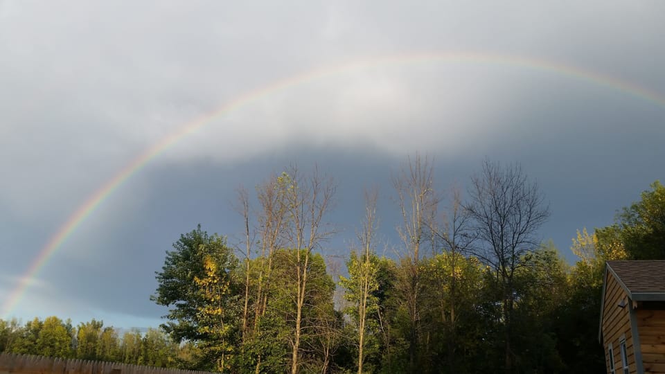 Rainbow over back forest