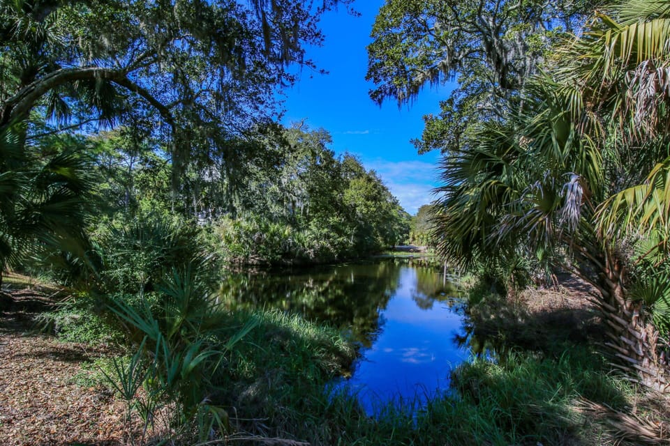 You'll have plenty of opportunities to spot birds and wildlife who frequently visit the lagoon.