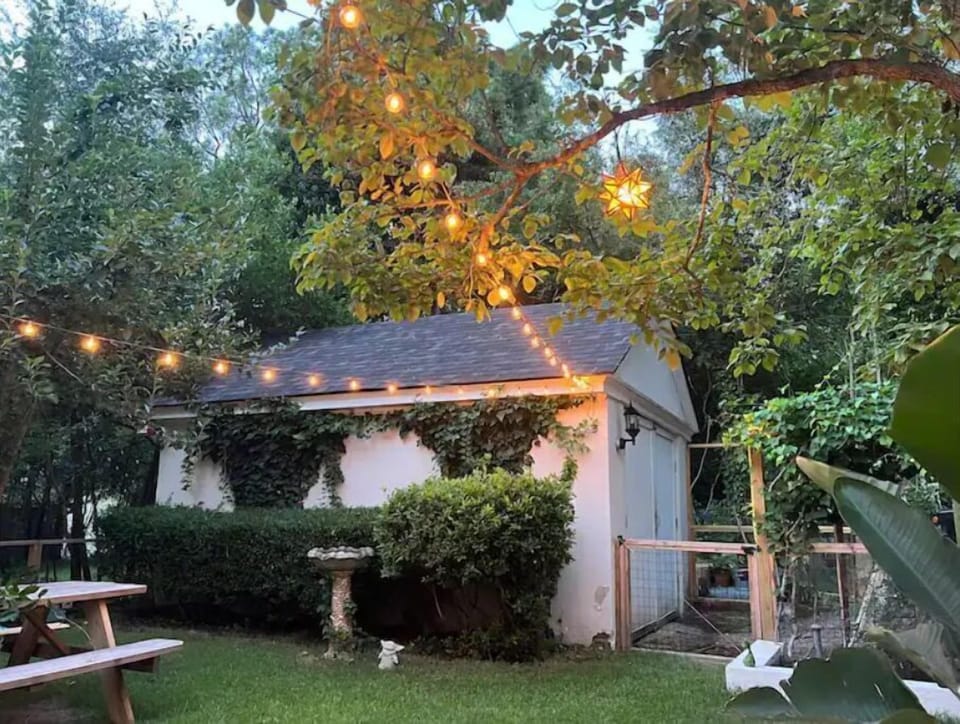 Backyard, garden, and BBQ area