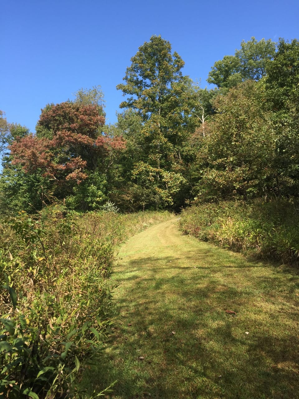 Hiking trail