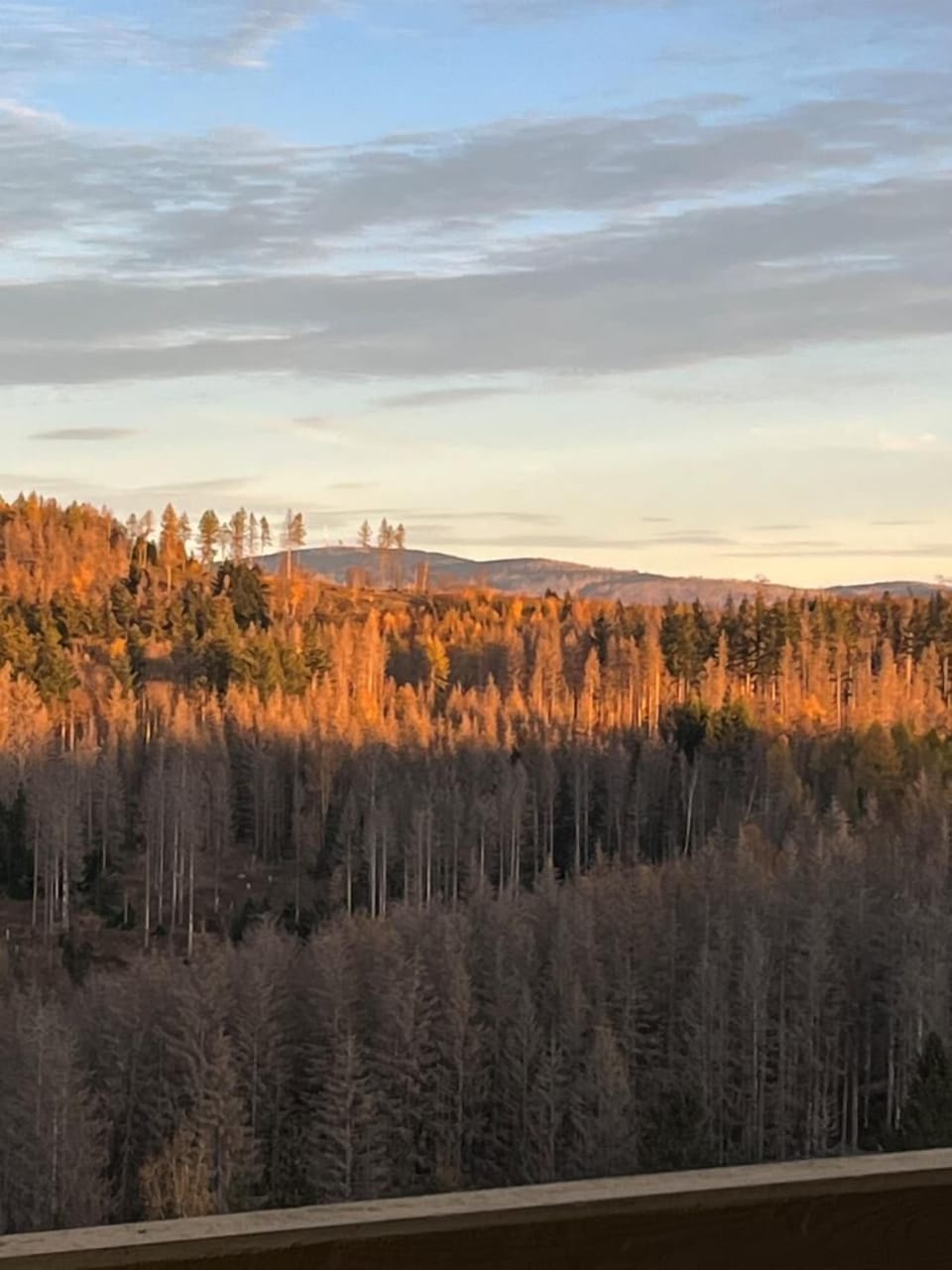 View from property