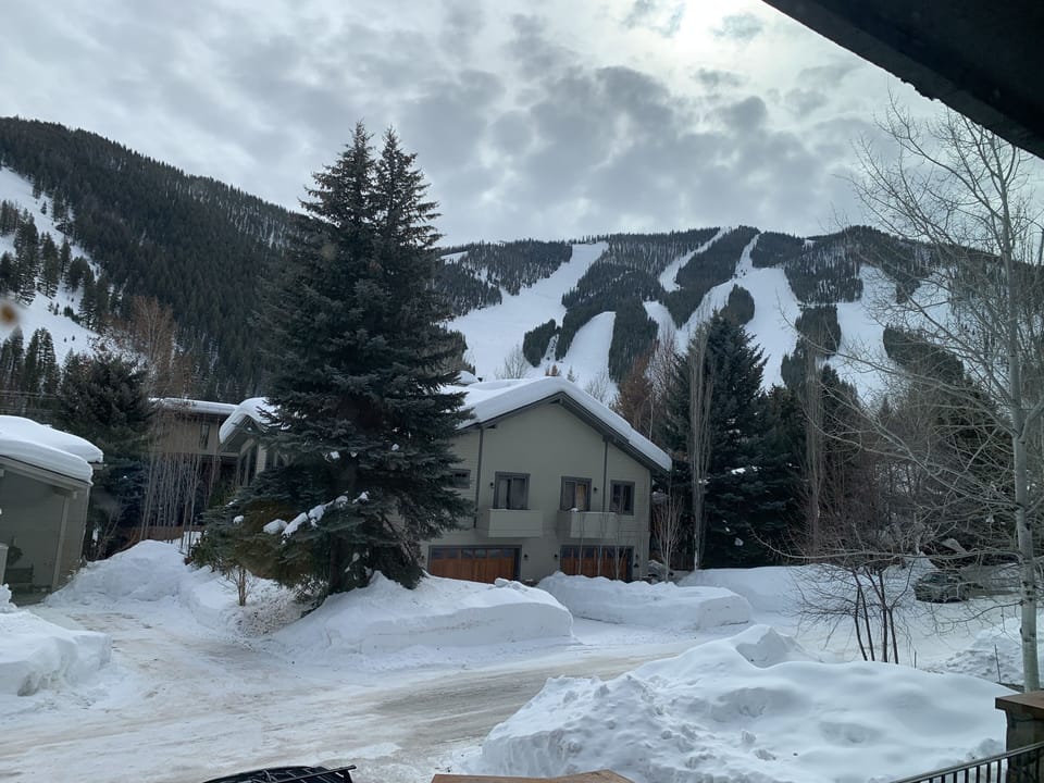 View from living area 