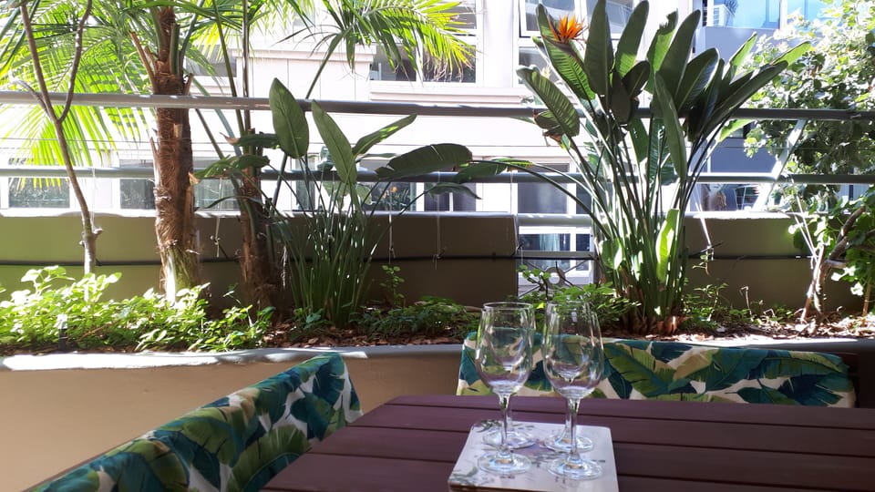 Outdoor Table and Chairs with Cushions and Raised High Garden Bed with Flowers.