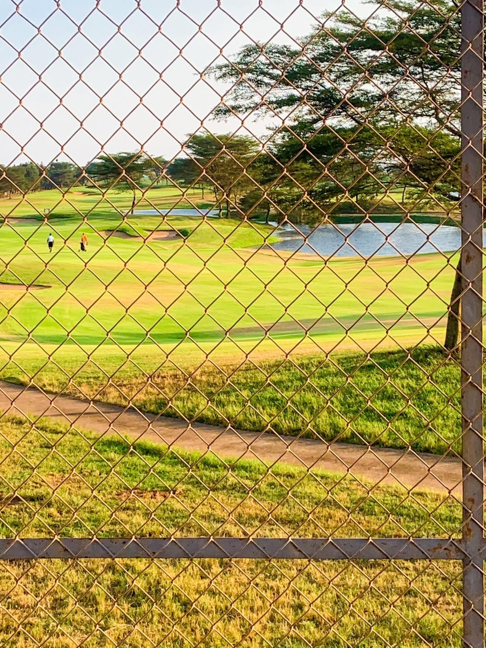 Golf