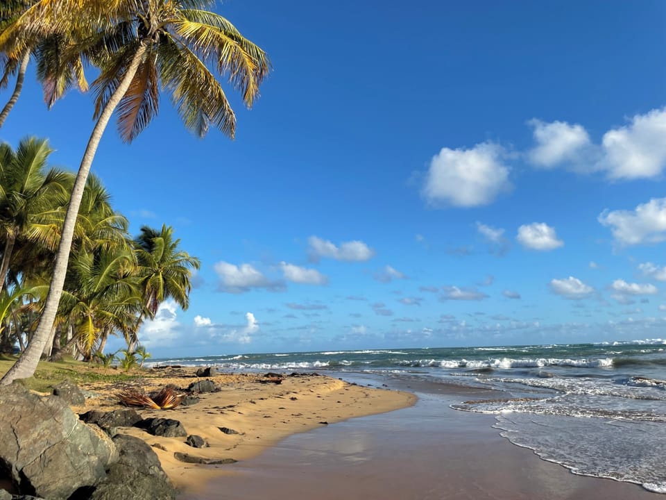 Beach