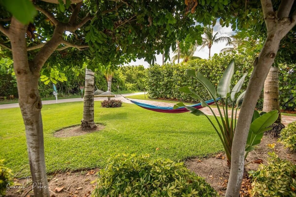 Relax and unwind. #NatureEscape #HammockHaven