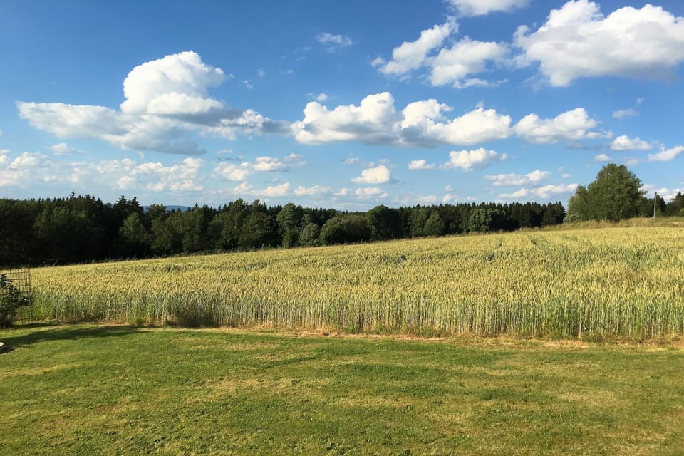 View from Holiday Home [summer]