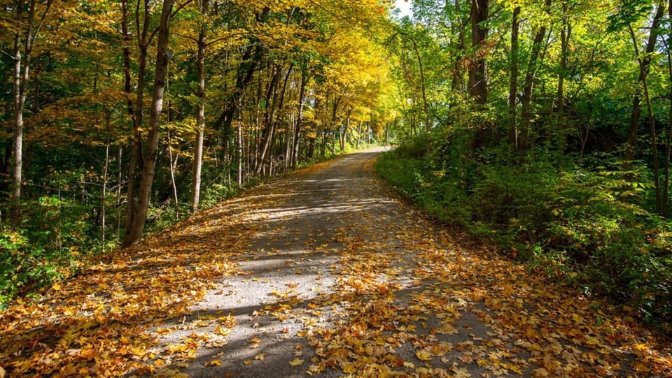 Wander scenic wooded trails and savor crisp morning air.