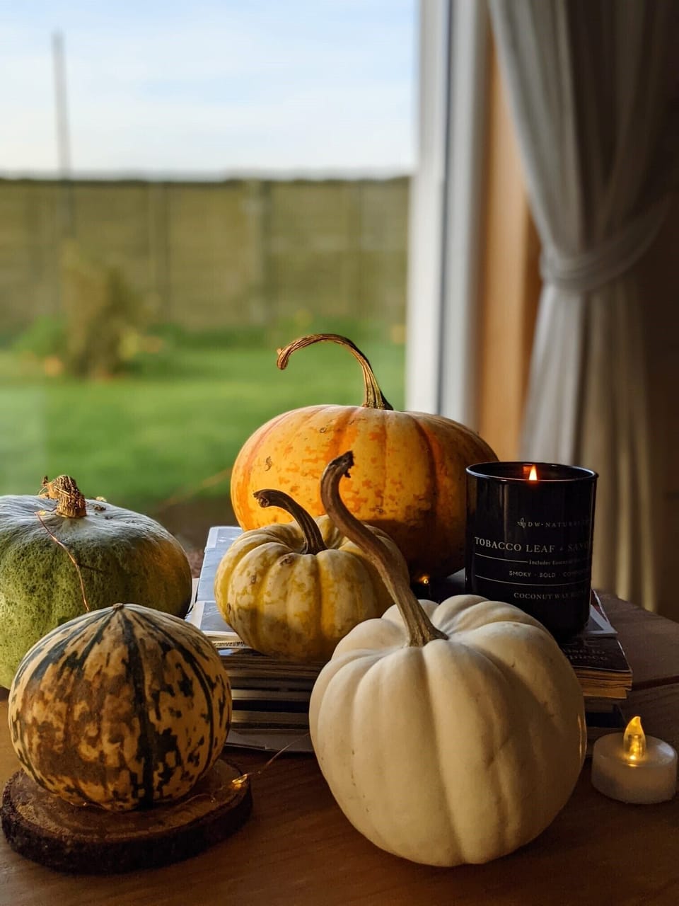 Halloween - pick your own pumpkins on local farm nearby