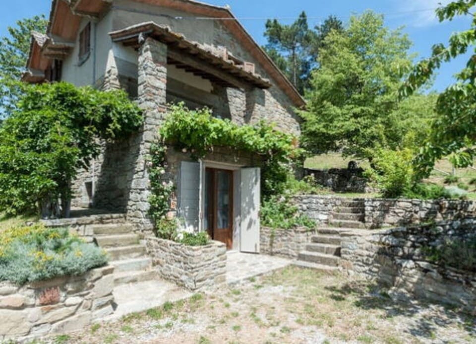 Garden and main entrance