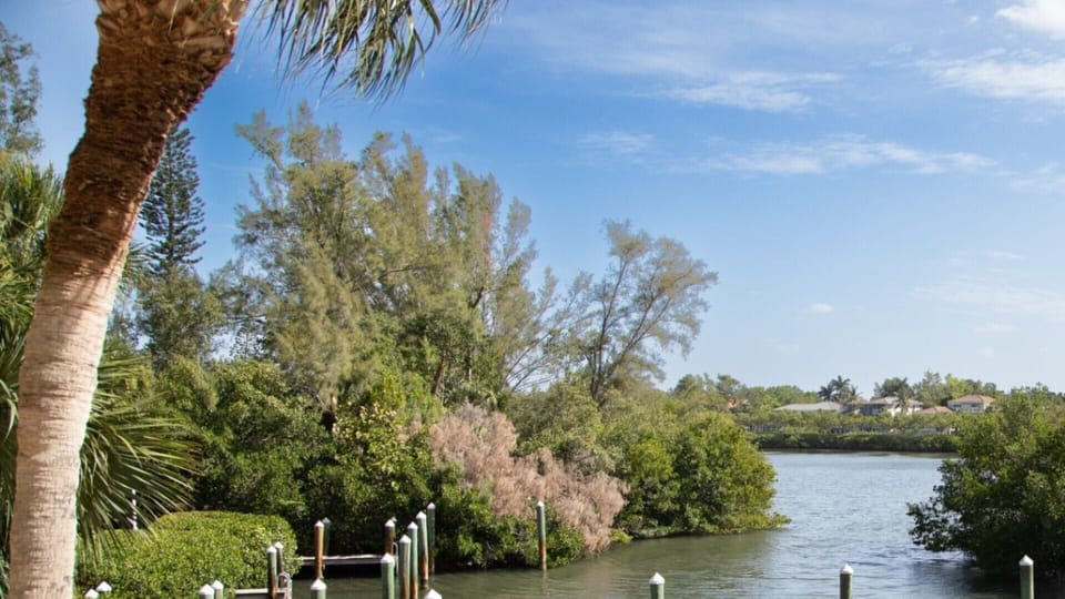 Crane's Bay View