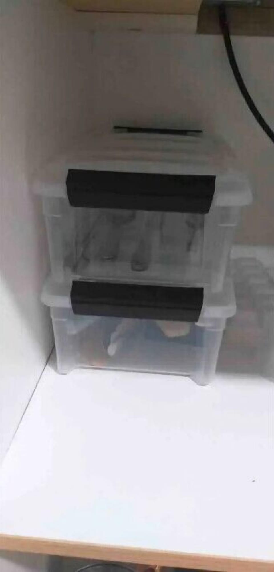Utensil/Kitchen storage.