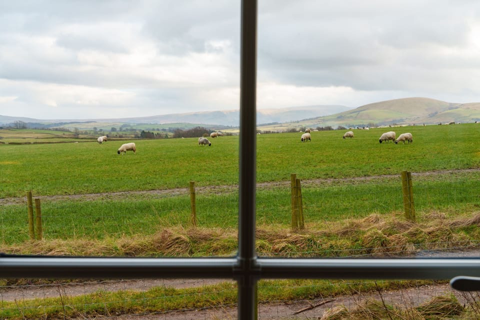 View of grazing sheep from Ullswater Apartment in the Whitbarrow Holiday Village, Berrier, Lake District.