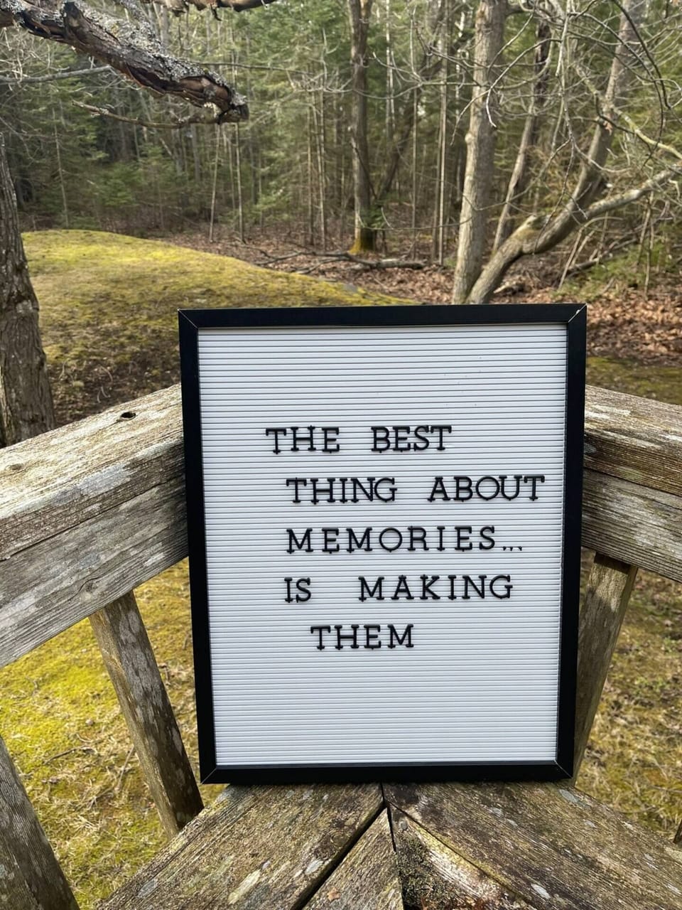 Make some memories at Bearfoot Lodge. 