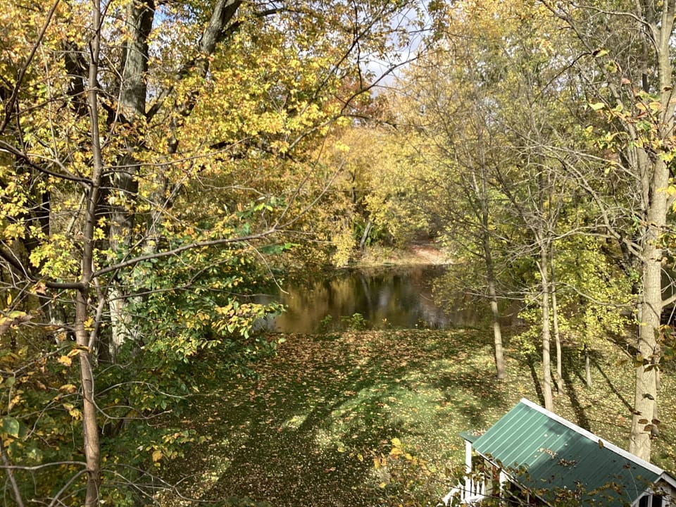 River view from deck