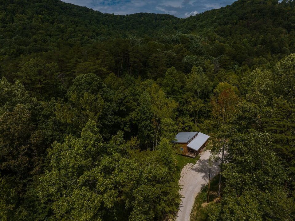 Spend your time surrounded by towering trees & lush greenery.