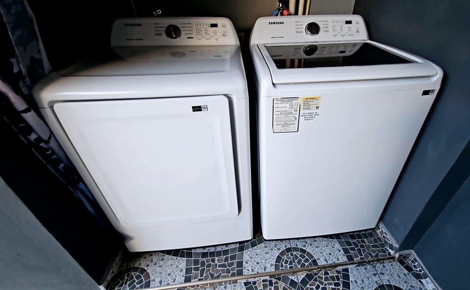 Samsung washer and dryer, detergent, and bleach on the house.