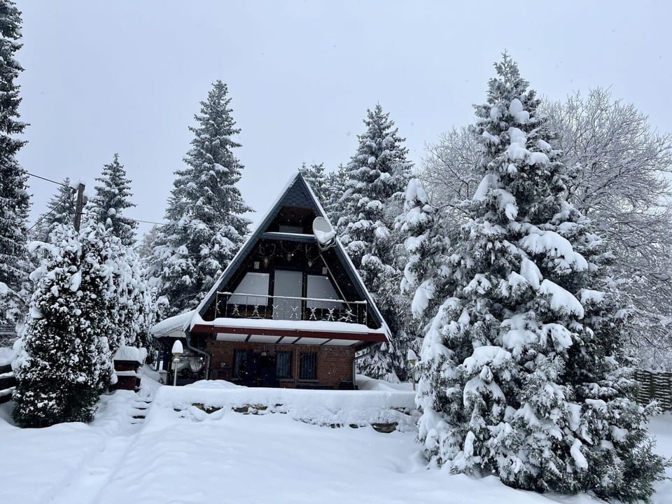 Sky, Snow, Property, Window, Plant, House, Tree, Larch, Slope, Branch