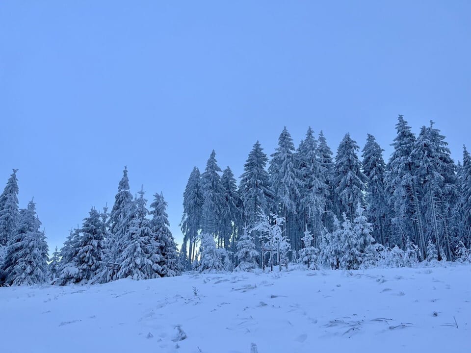 Sky, Plant, Snow, Natural Landscape, Slope, Larch, Tree, Evergreen, Freezing, Woody Plant