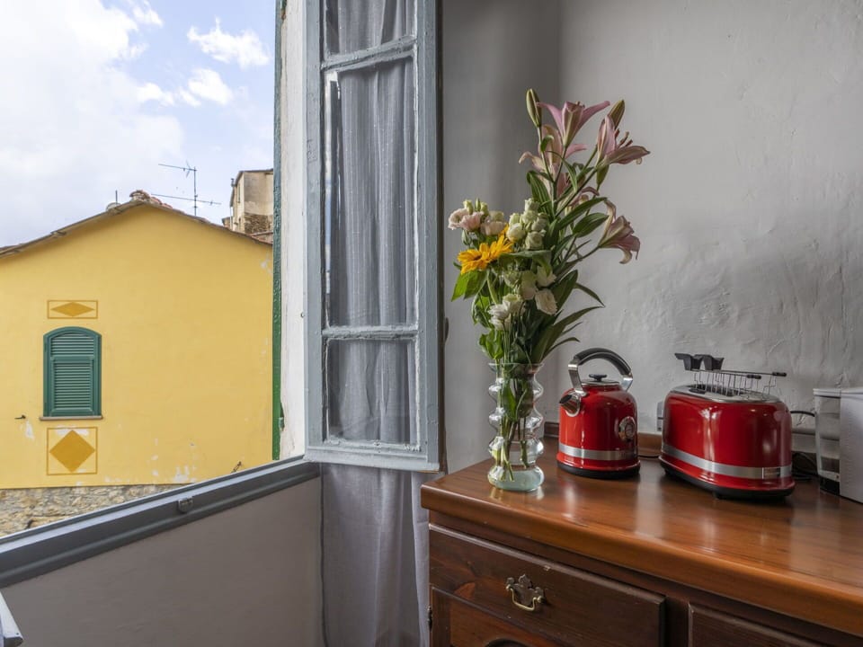 Plant, Cabinetry, Flower, Property, Window, Cloud, Flowerpot, Wood, Sky, Building