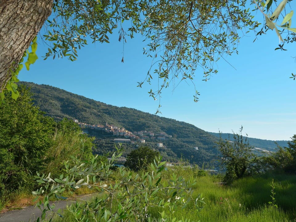 Sky, Plant, Plant Community, Mountain, Natural Landscape, Slope, Grass, Tree, Twig, Landscape