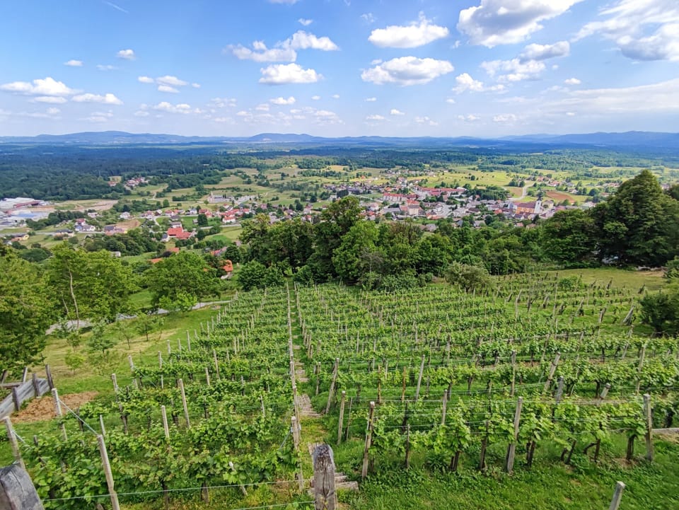 View from the balcony. Below is a vineyard where we produce our own wine.