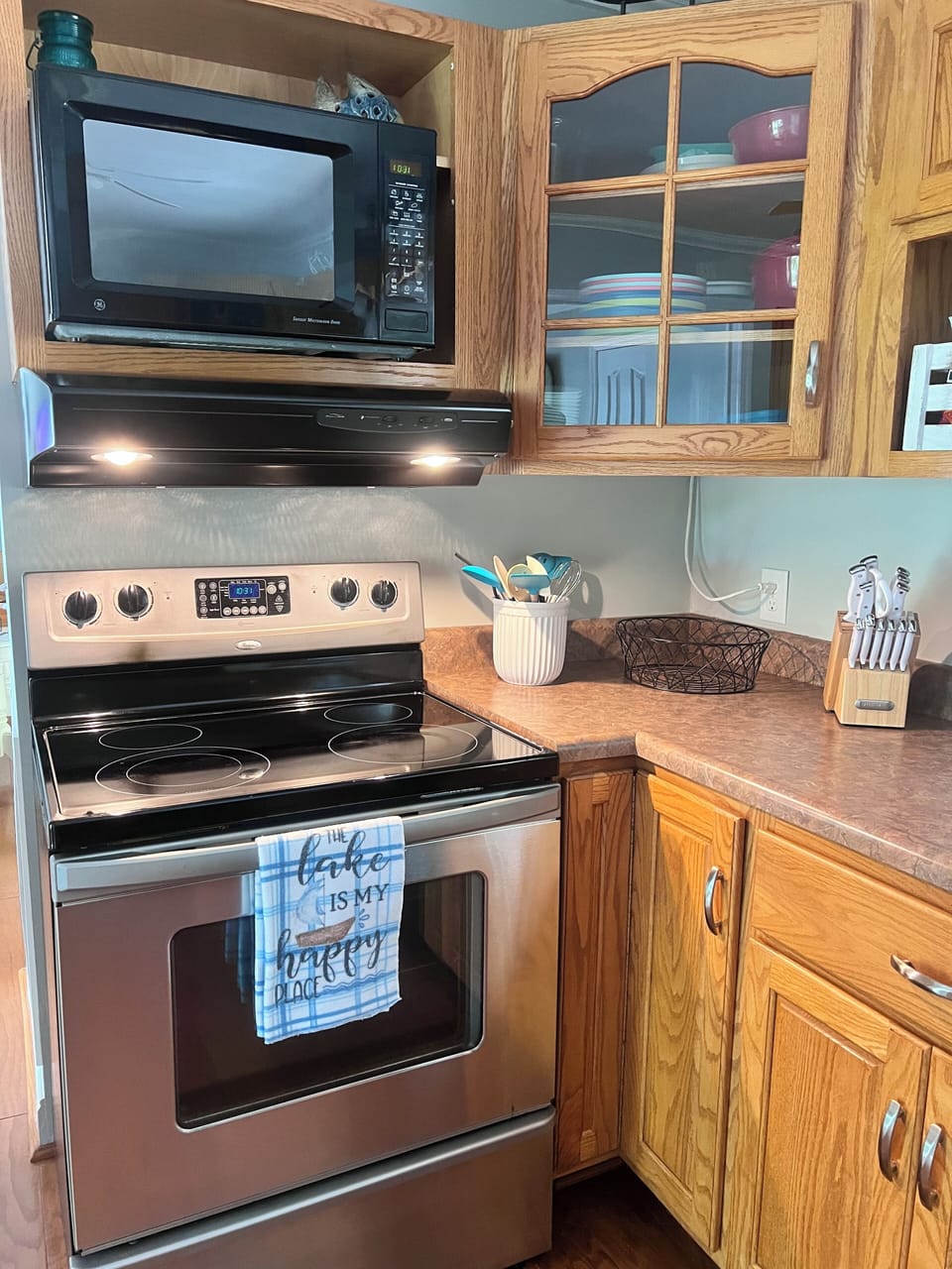 Electric oven and microwave