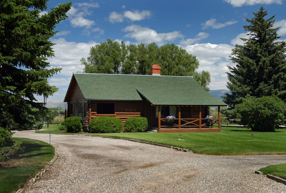 Moose Exterior