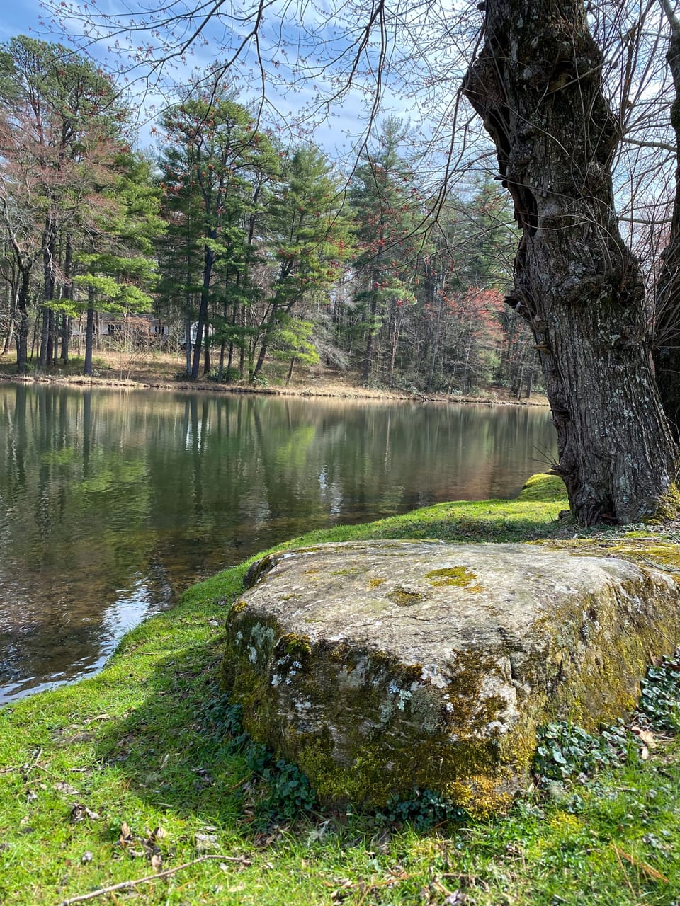 Take a moment to reflect at the numerous "thoughtful spots" on the property