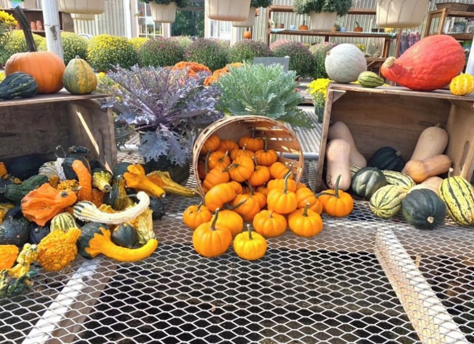 Close to farmers markets where you can shop fresh, organic locally grown produce