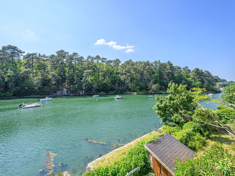 Water, Sky, Cloud, Water Resources, Plant, Natural Landscape, Tree, Boat, Vegetation, Lake
