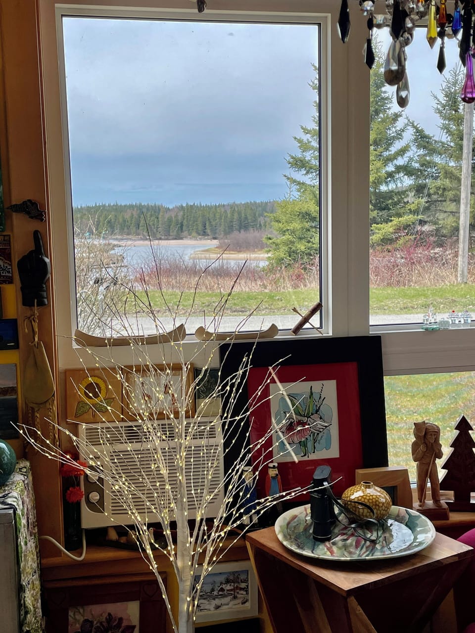 View from the living room