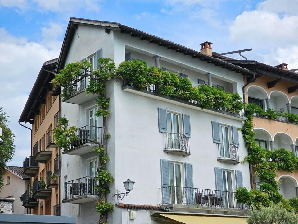 House view