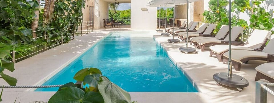A tropical oasis
