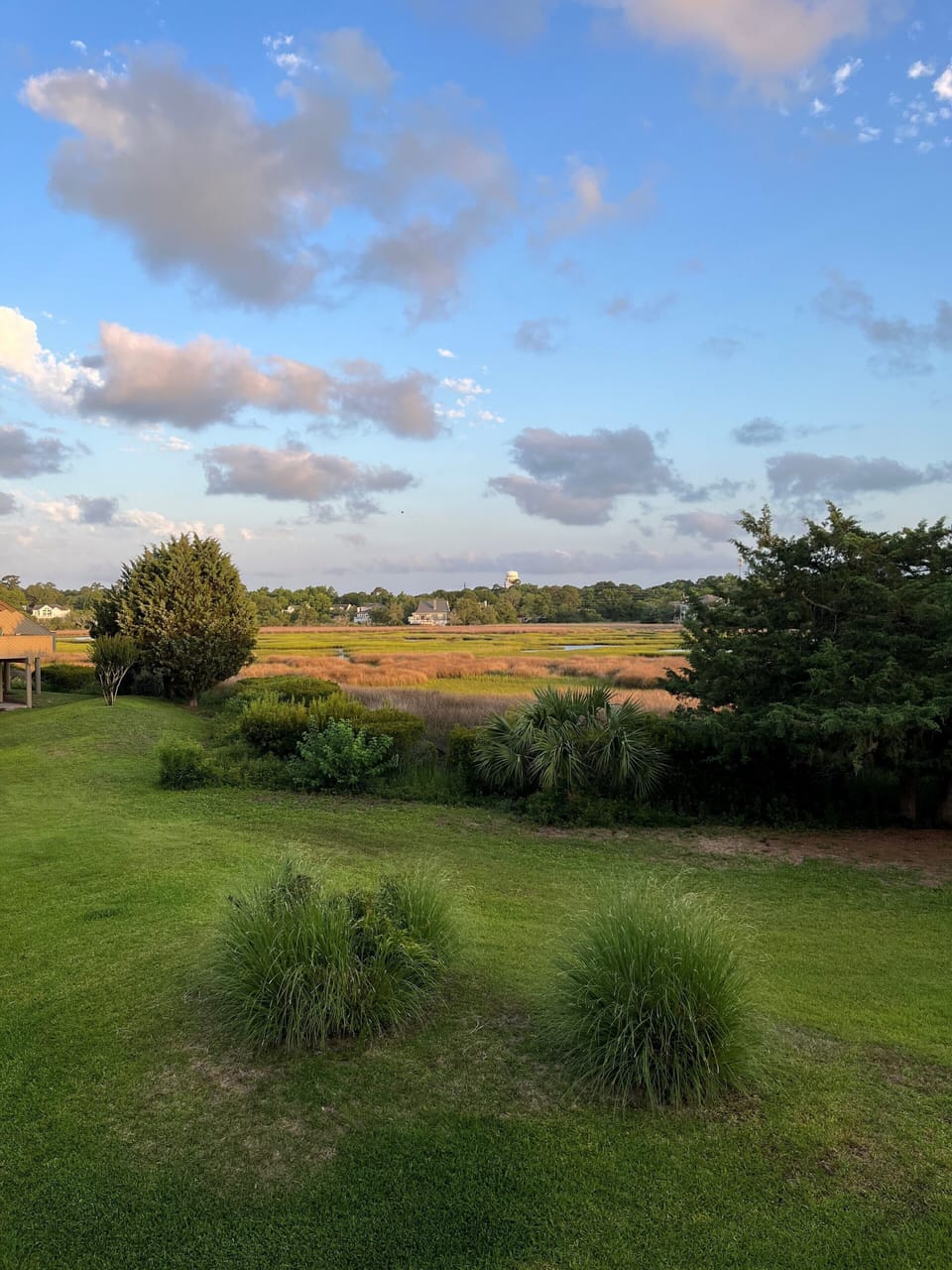 Marsh View