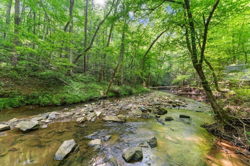 Cavender Creek