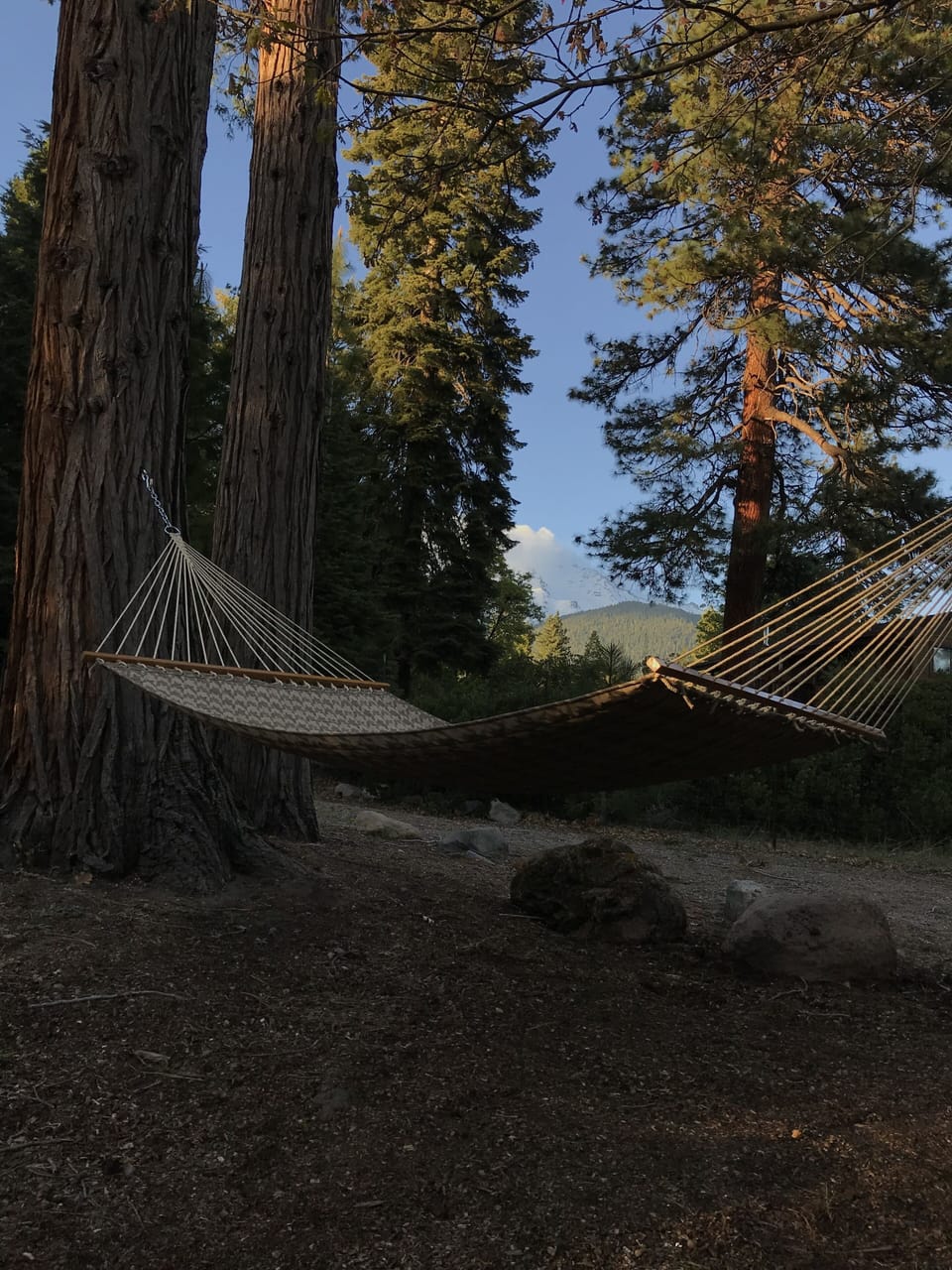 Hammock with a view