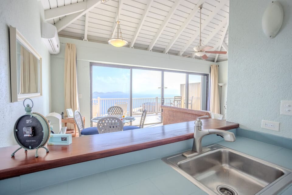 Kitchen with a View