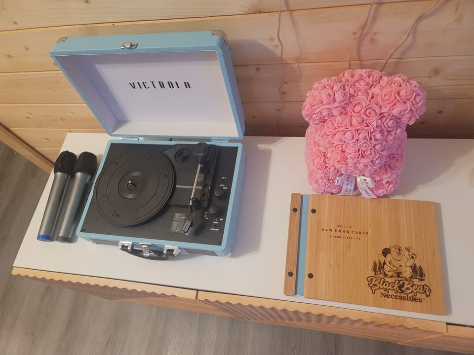 Listen to some tunes of your own on the record player. Or sing away on the mics.