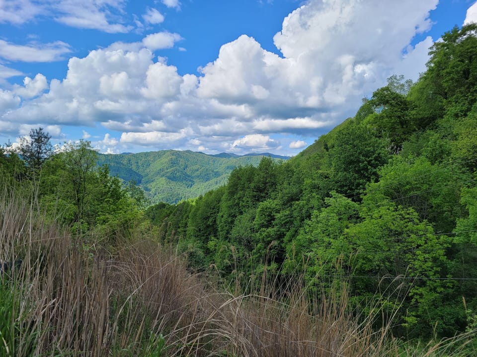 view from the drive to the cabin 