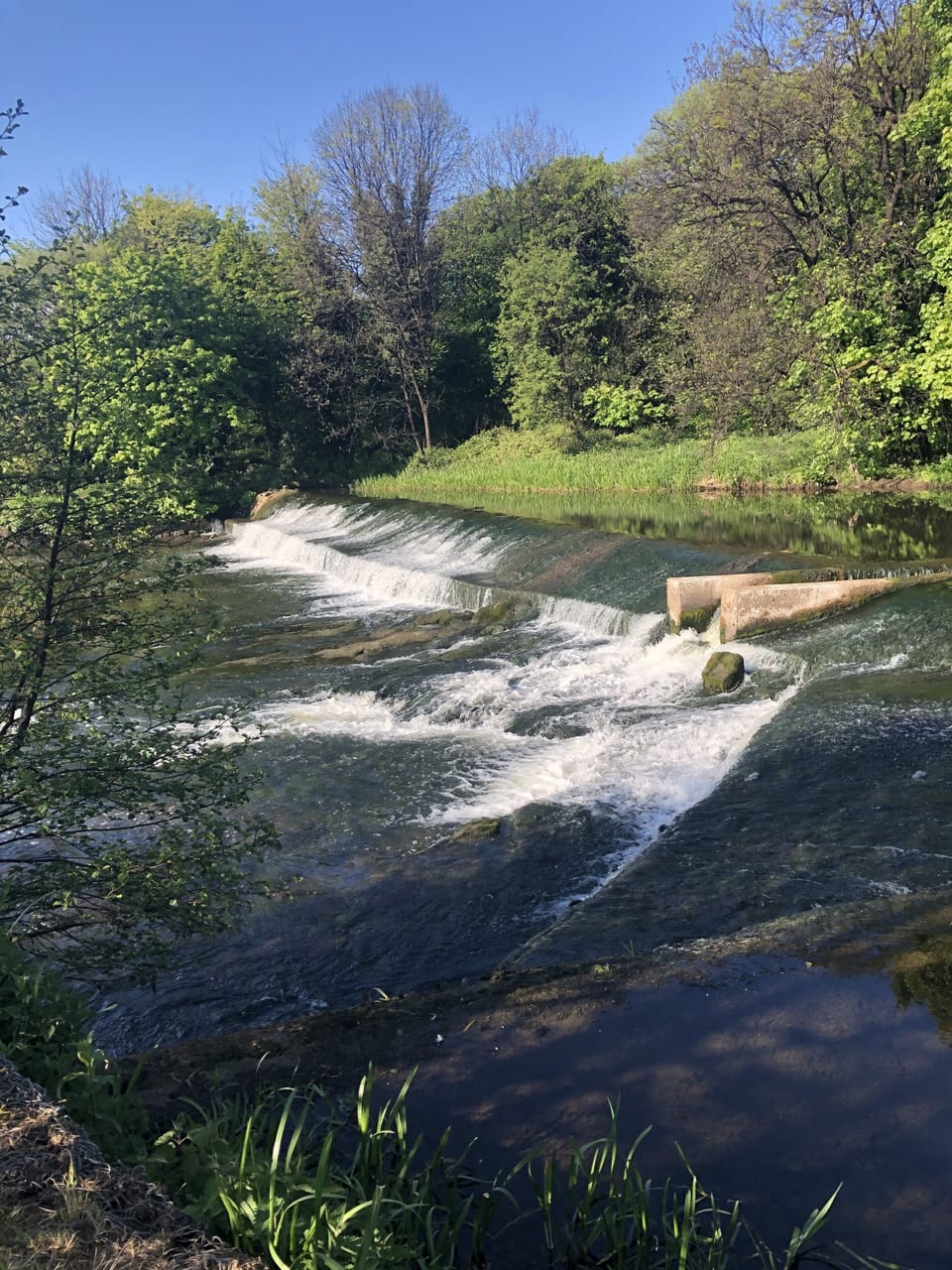 Menstrie - Cambus cycle path. 