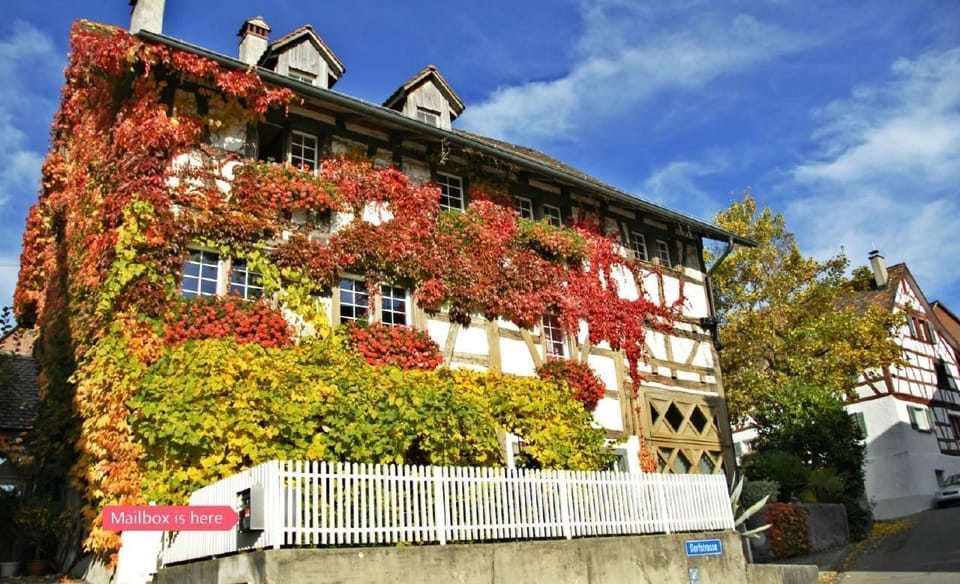 Picture 9