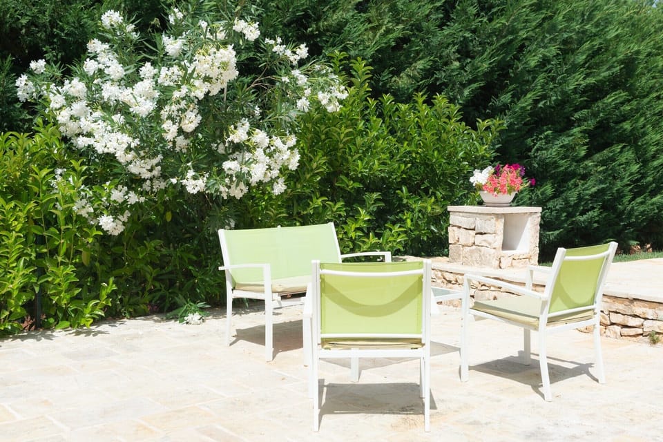 Garden [summer]