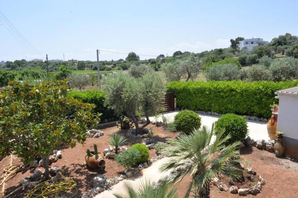 View from Holiday Home [summer]