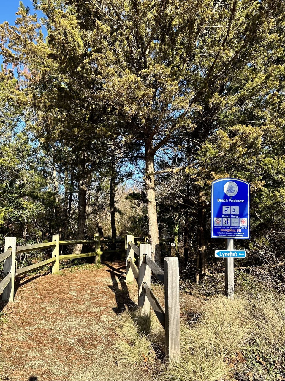 Path to our beach