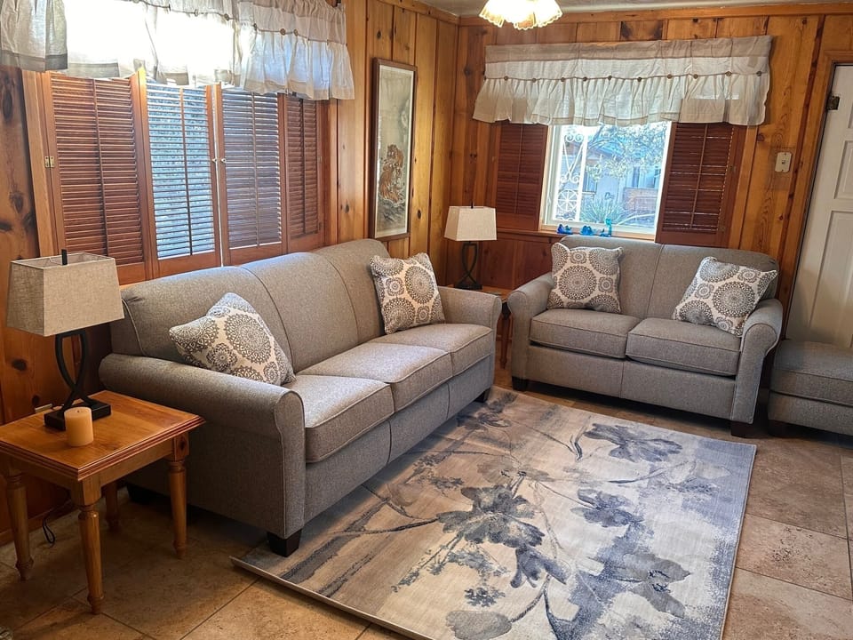 Living Room with pull out queen sofa bed