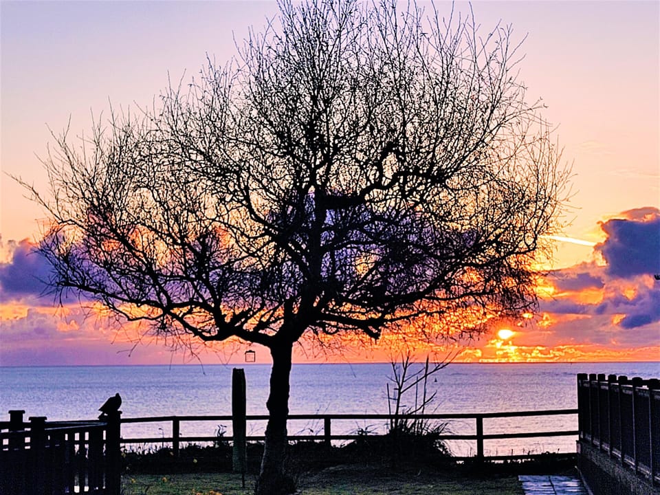 The Suffolk coast is calling! Book your beach breaks now and take advantage of flexible arrival dates for your 2026 holidays.