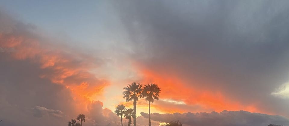 Desert View